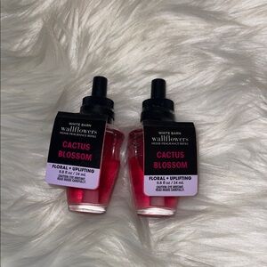 White Barn Cactus Blossom Fragrance Refill - Vibrant Pink